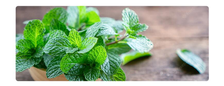 Luxury Aromatherapy Candle